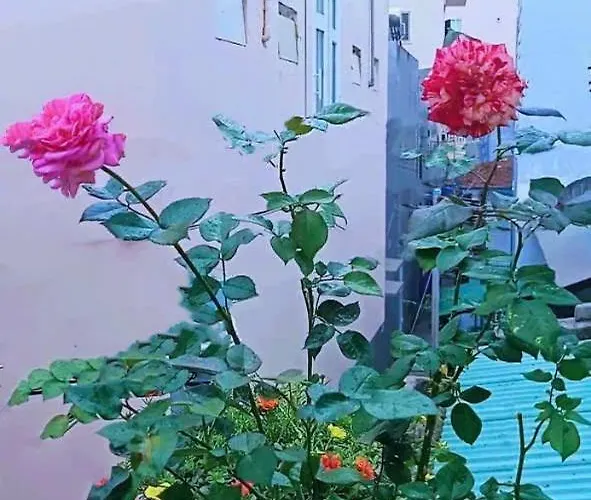 Khách sạn Hoàng Nga 2