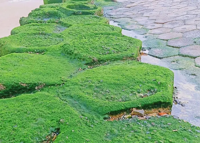 Khách sạn Hoàng Nga 2 Phan Thiết